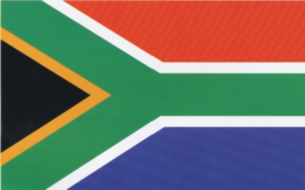 South African flag icon